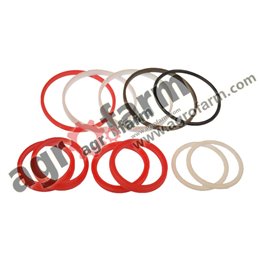 STEERING CYLINDER REPAIR KIT CASE, MASSEY