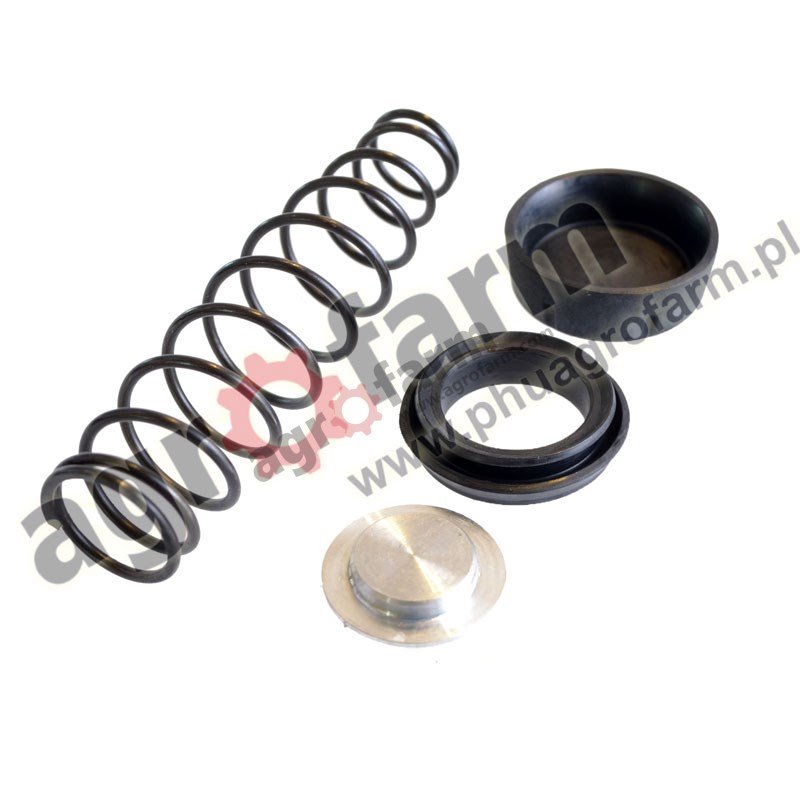 CLUTCH MASTER CYLINDER REPAIR KIT MASSEY FERGUSON