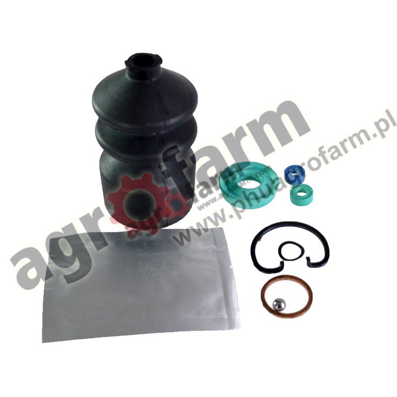 BRAKE MASTER CYLINDER REPAIR KIT MASSEY FERGUSON