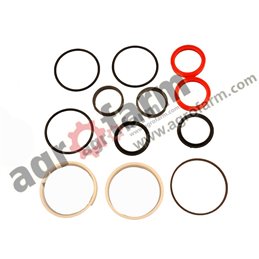 STEERING CYLINDER REPAIR KIT MASSEY 3484624M9