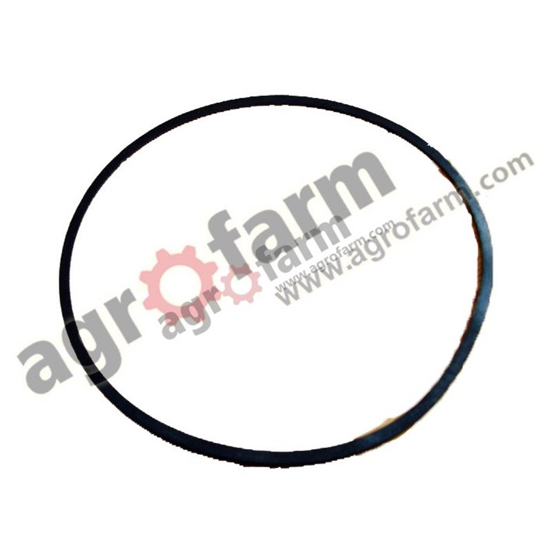 ORING , seal CASE 401724R1