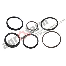 SLAVE CYLINDER REPAIR KIT MASSEY