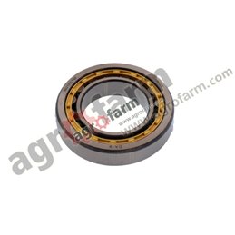 bearing MASSEY FERGUSON, LANDINI 3387381M1