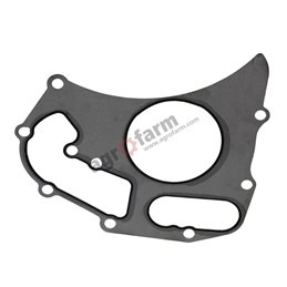 WATER PUMP GASKET MASSEY FERGUSON, LANDINI ORIG