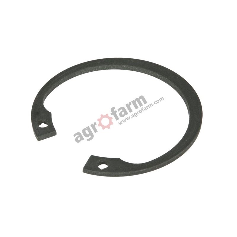 CIRCLIP / AGCO PROTECTION