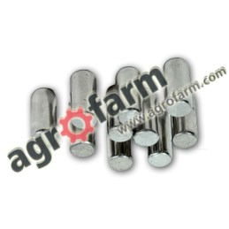 NEEDLE SET bearing10 PIECES CARRARO