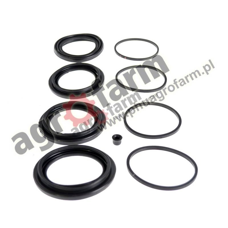 RENAULT BRAKE CYLINDER REPAIR KIT